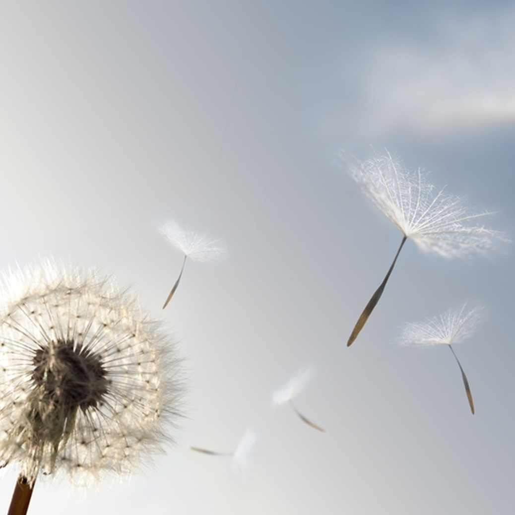Breathe Easy: Strategies to Support Healthy Indoor Air Strategies to Support Healthy Indoor Air
