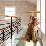 Glass Floor Walkways & Stair Treads Glass Walkways and Stair Treads