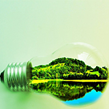 Green Lights Green Lights: A Lighting Product Manufacturer’s Roadmap to Sustainable Building Rating Systems