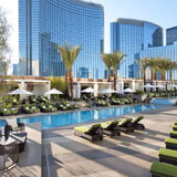 Elevated Pools, Spas, and Water Feature Construction Elevated Pools, Spas, and Water Feature Construction