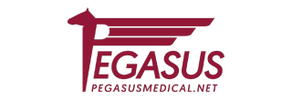 Pegasus Medical Concepts, Inc. Pegasus Medical Concepts, Inc.