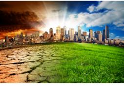 Climate Change, Part 2: It’s All About the Straws, Isn’t It? Climate Change, Part 2: It’s All About the Straws, Isn’t It?